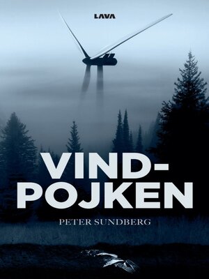 cover image of Vindpojken